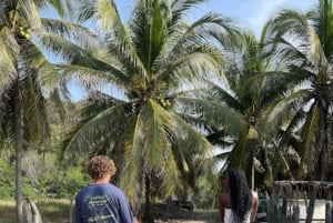 Ixtapa-Zihuatanejo: Horseback Riding Tour