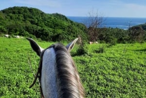 Ixtapa-Zihuatanejo: Horseback Riding Tour