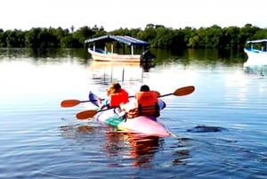 Ixtapa Zihuatanejo: Kayak Tour at Barra de Potosí