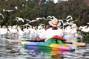 Ixtapa Zihuatanejo: Kayak Tour at Barra de Potosí