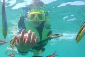 Ixtapa-Zihuatanejo: Excursión a la Playa de Las Gatas con Snorkel