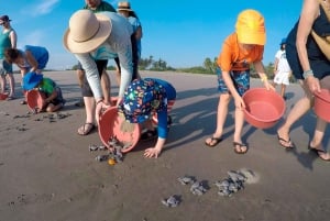 Ixtapa-Zihuatanejo: Turtle Release Tour.