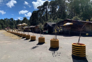 Iztaccihuatl Hiking Tour: Volcano Trek and Amecameca (12h)