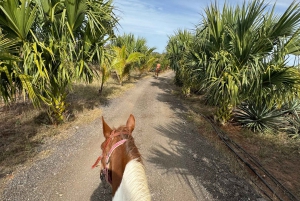 Jungle and beach horse ride + lunch + mezcal