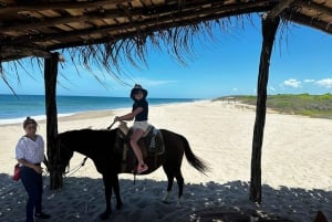 Jungle and beach horse ride + lunch + mezcal