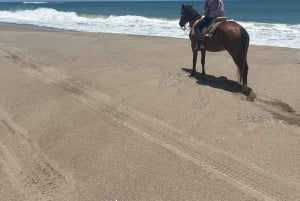 Jungle and beach horse ride + lunch + mezcal