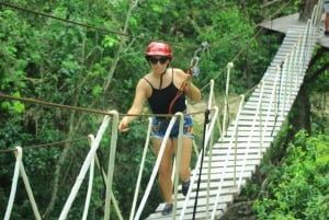 Jungle fun: ATV, Zipline, Cenote Tour with transportation