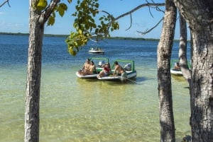 Jungle Tour Speedboat and Snorkeling from Cancun