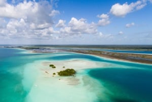 Bacalar & Cenotes: Renta de kayak por 3 horas con equipo de snorkel