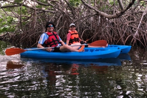 Kayak Tour in Cancun with Photos included