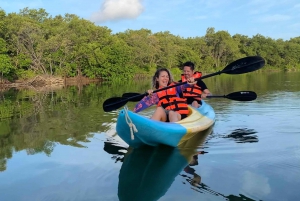 Kayak tour through Holbox mangroves