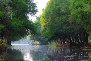 La Llorona Xochimilco: Espectáculo, Leyendas y Recorrido de Trajineras