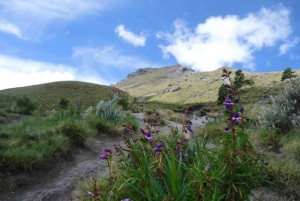 La Malinche Volcano: Hike to the Top and Explore Tlaxcala