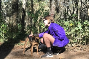 Volcán de la Malinche: Sube a la cima y explora Tlaxcala