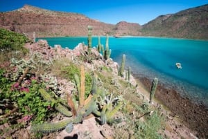 La Paz: Excursión de Snorkel en 3 Playas con Comida y Bebidas