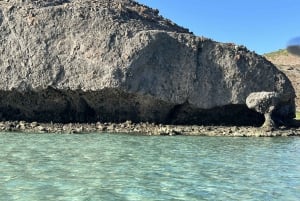 La Paz: Balandra and Tecolote Beaches Day Trip with Lunch