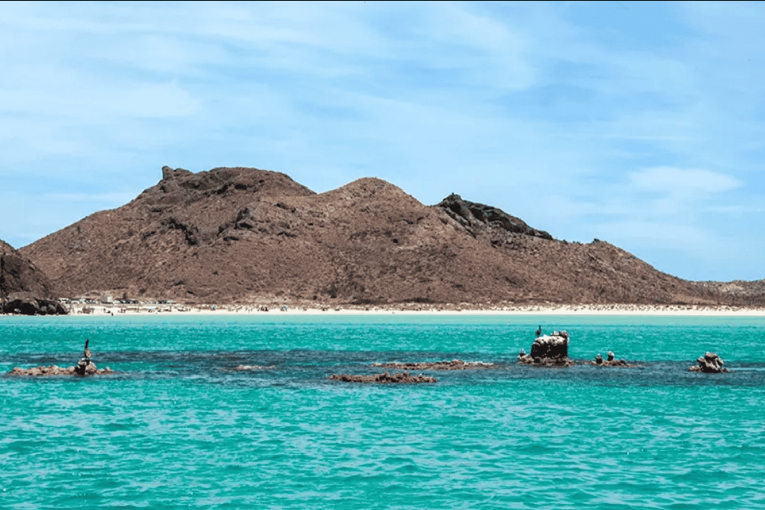 La Paz: Paseo en barco a la isla espíritu santo y balandra