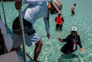 La Paz: Paseo en barco a la isla espíritu santo y balandra