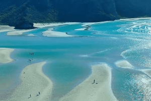 La Paz: Paseo en barco a la isla espíritu santo y balandra