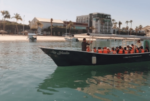 La Paz: Paseo en barco a la isla espíritu santo y balandra