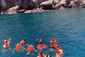 La Paz: Paseo en barco a la isla espíritu santo y balandra