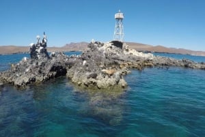 La Paz: Crucero de un día y snorkel (con leones marinos) Comida y bebida