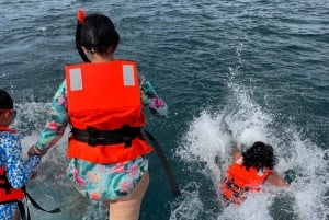 La Paz: Crucero de un día y snorkel (con leones marinos) Comida y bebida