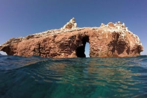 La Paz: Excursión de snorkel a la Isla del Espíritu Santo con almuerzo