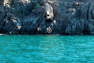 La Paz: Excursión de snorkel a la Isla del Espíritu Santo con almuerzo