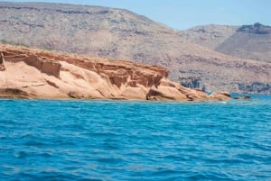 La Paz: Excursión de snorkel a la Isla del Espíritu Santo con almuerzo