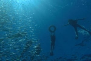 La Paz: Excursión de snorkel a la Isla del Espíritu Santo con almuerzo