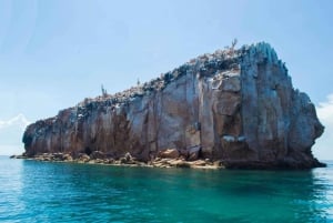 La Paz: Excursión de snorkel a la Isla del Espíritu Santo con almuerzo