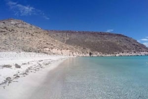 La Paz: Excursión de snorkel a la Isla del Espíritu Santo con almuerzo