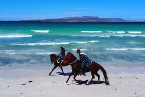 La Paz: Horseback Riding Experiences