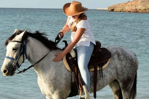 La Paz: Horseback Riding Experiences