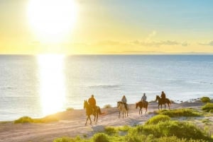 La Paz: Horseback Riding