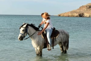 La Paz: Horseback Riding