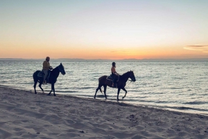 La Paz: Horseback Riding