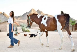 La Paz: Paseos a Caballo