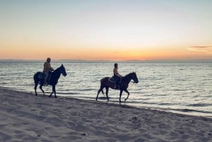 La Paz: Paseos a Caballo