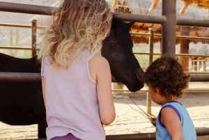 La Paz: Horseback Riding