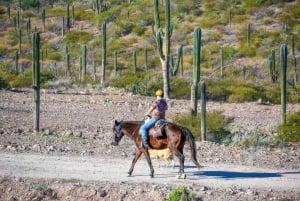 La Paz: Paseos a Caballo