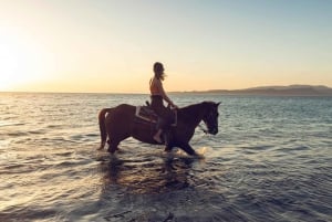 La Paz: Horseback Riding