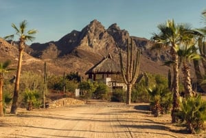 La Paz: Paseos a Caballo