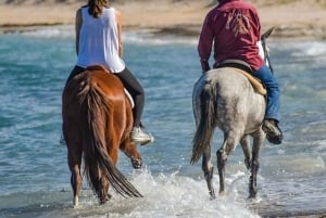 La Paz: Paseos a Caballo