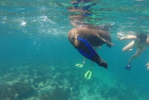 La Paz: Snorkeling Trip to Espiritu Santo Island