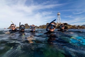 La Paz: Snorkeling with Sea Lions and Balandra Beach Tour