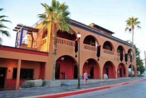 La Paz: Todos Santos Day Trip