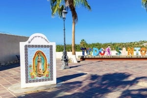 La Paz: Todos Santos Day Trip