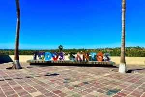 La Paz: Todos Santos Day Trip